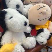 ヒメ日記 2025/04/09 05:27 投稿 ゆいら 日本橋・谷九サンキュー