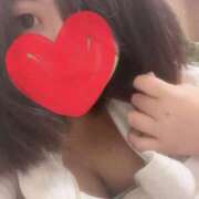 ヒメ日記 2025/04/15 19:57 投稿 せぴあ 日本橋・谷九サンキュー