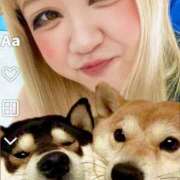 ヒメ日記 2025/06/21 17:07 投稿 のりか 日本橋・谷九サンキュー