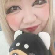 ヒメ日記 2025/11/18 11:37 投稿 のりか 日本橋・谷九サンキュー