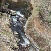 ヒメ日記 2026/03/27 15:37 投稿 のりか 日本橋・谷九サンキュー