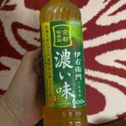 ヒメ日記 2026/07/27 06:07 投稿 のりか 日本橋・谷九サンキュー