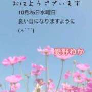 ヒメ日記 2023/10/25 08:00 投稿 愛野わか 五十路マダム 岐阜店