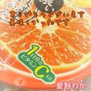 ヒメ日記 2023/10/31 07:02 投稿 愛野わか 五十路マダム 岐阜店