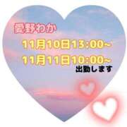 ヒメ日記 2023/11/05 12:06 投稿 愛野わか 五十路マダム 岐阜店