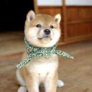 ヒメ日記 2026/04/01 10:22 投稿 いちか◆拘束おもちゃ責めでイク 即イキ淫乱倶楽部