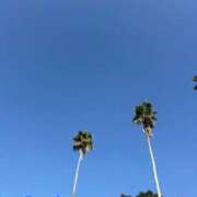 ヒメ日記 2025/11/18 08:15 投稿 蘭(らん)♥淫猥なお嬢様 美魔女コレクション