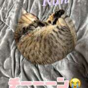 ヒメ日記 2025/12/06 08:15 投稿 蘭(らん)♥淫猥なお嬢様 美魔女コレクション