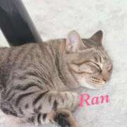 ヒメ日記 2026/01/22 07:15 投稿 蘭(らん)♥淫猥なお嬢様 美魔女コレクション