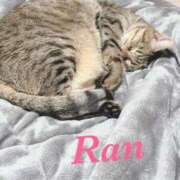 ヒメ日記 2026/04/02 17:15 投稿 蘭(らん)♥淫猥なお嬢様 美魔女コレクション