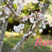 ヒメ日記 2026/04/03 18:15 投稿 蘭(らん)♥淫猥なお嬢様 美魔女コレクション