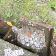 ヒメ日記 2026/05/10 14:15 投稿 蘭(らん)♥淫猥なお嬢様 美魔女コレクション