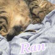 ヒメ日記 2026/08/02 12:15 投稿 蘭(らん)♥淫猥なお嬢様 美魔女コレクション