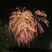 ヒメ日記 2025/08/25 14:57 投稿 のえる 土浦ハッピーマットパラダイス