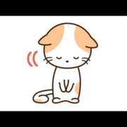 ヒメ日記 2026/02/27 16:17 投稿 のえる 土浦ハッピーマットパラダイス