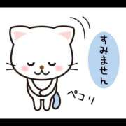 ヒメ日記 2026/02/28 20:17 投稿 のえる 土浦ハッピーマットパラダイス