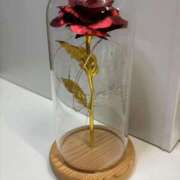 ヒメ日記 2025/04/20 20:14 投稿 みさと鈴 五十路マダム 浜松店(カサブランカグループ)