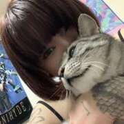 ヒメ日記 2024/12/21 23:42 投稿 れむ スピードエコ難波店