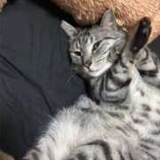 ヒメ日記 2025/09/01 23:32 投稿 れむ スピードエコ難波店