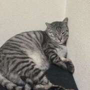 ヒメ日記 2026/01/10 02:12 投稿 れむ スピードエコ難波店