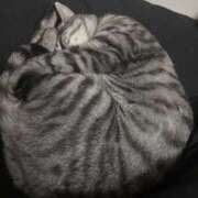 ヒメ日記 2026/01/14 03:12 投稿 れむ スピードエコ難波店