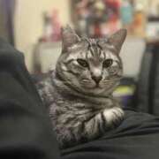 ヒメ日記 2026/01/21 02:42 投稿 れむ スピードエコ難波店