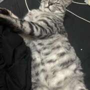 ヒメ日記 2026/01/22 03:02 投稿 れむ スピードエコ難波店