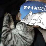 ヒメ日記 2026/01/24 03:05 投稿 れむ スピードエコ難波店