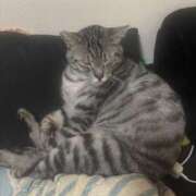 ヒメ日記 2026/01/30 02:32 投稿 れむ スピードエコ難波店