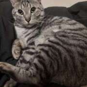 ヒメ日記 2026/01/31 02:32 投稿 れむ スピードエコ難波店