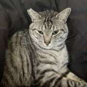 ヒメ日記 2026/02/03 03:32 投稿 れむ スピードエコ難波店