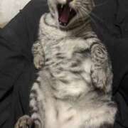 ヒメ日記 2026/02/16 03:12 投稿 れむ スピードエコ難波店