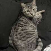 ヒメ日記 2026/02/28 03:22 投稿 れむ スピードエコ難波店