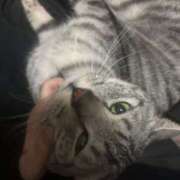 ヒメ日記 2026/03/05 03:22 投稿 れむ スピードエコ難波店