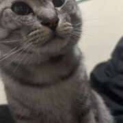 ヒメ日記 2026/03/10 03:12 投稿 れむ スピードエコ難波店