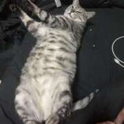 ヒメ日記 2026/03/14 02:12 投稿 れむ スピードエコ難波店