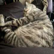 ヒメ日記 2026/03/24 02:42 投稿 れむ スピードエコ難波店