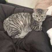 ヒメ日記 2026/03/27 02:52 投稿 れむ スピードエコ難波店