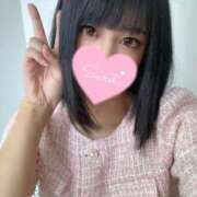 ヒメ日記 2025/04/09 09:45 投稿 成宮 ゆあ チューリップ福井本館