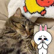 ヒメ日記 2025/03/17 07:27 投稿 れいか 五反田人妻ヒットパレード（シンデレラグループ）