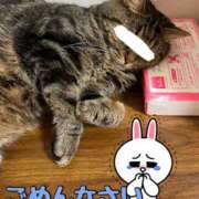 ヒメ日記 2025/05/30 11:43 投稿 れいか 五反田人妻ヒットパレード（シンデレラグループ）