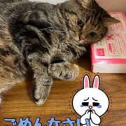 ヒメ日記 2025/12/29 07:12 投稿 れいか 五反田人妻ヒットパレード（シンデレラグループ）