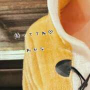 ヒメ日記 2024/12/23 22:30 投稿 わかな 新橋Sweets（スウィーツ）