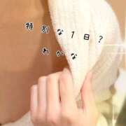 ヒメ日記 2025/02/21 12:15 投稿 わかな 新橋Sweets（スウィーツ）