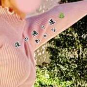 ヒメ日記 2025/03/14 23:45 投稿 わかな 新橋Sweets（スウィーツ）