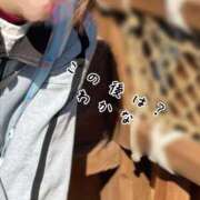 ヒメ日記 2025/03/27 22:16 投稿 わかな 新橋Sweets（スウィーツ）