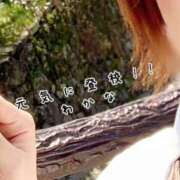 ヒメ日記 2025/04/09 18:50 投稿 わかな 新橋Sweets（スウィーツ）