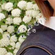 ヒメ日記 2025/04/25 19:20 投稿 わかな 新橋Sweets（スウィーツ）