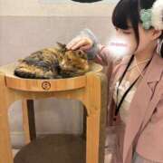 ヒメ日記 2025/08/18 05:20 投稿 もも Sakura Spa