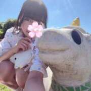 ヒメ日記 2025/09/08 17:20 投稿 もも Sakura Spa